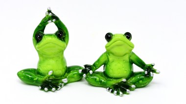 Grodor i yogaposition