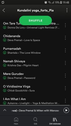 Screenshot_20190205-194807_Spotify
